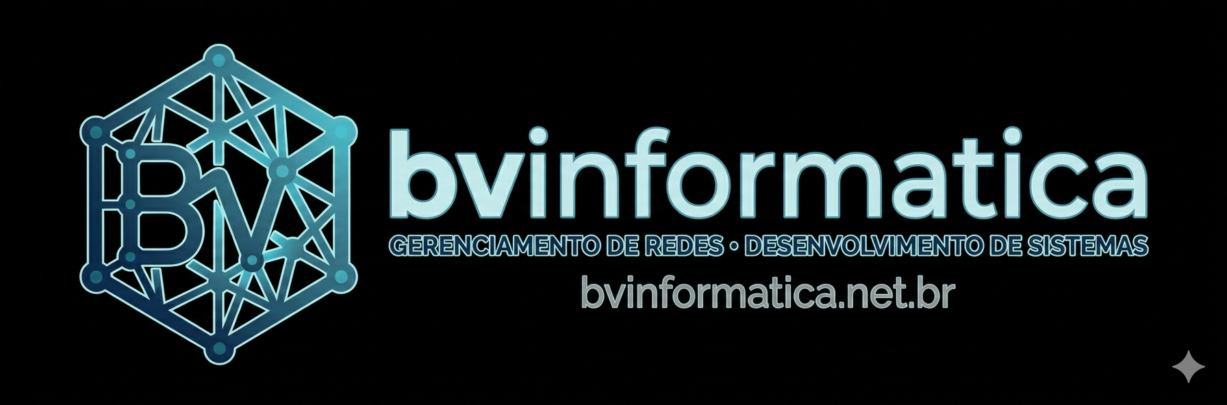 bvinformatica.net.br